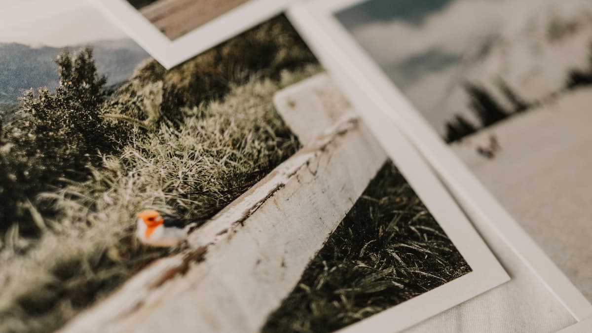 The five photos every actor's portfolio needs