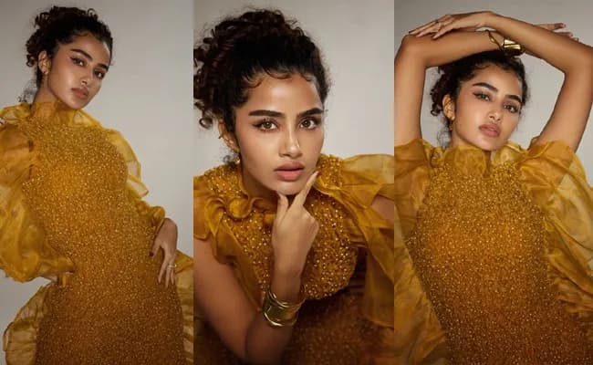 Anupama Parameswaran Stuns in Sunlit Yellow Ensemble
