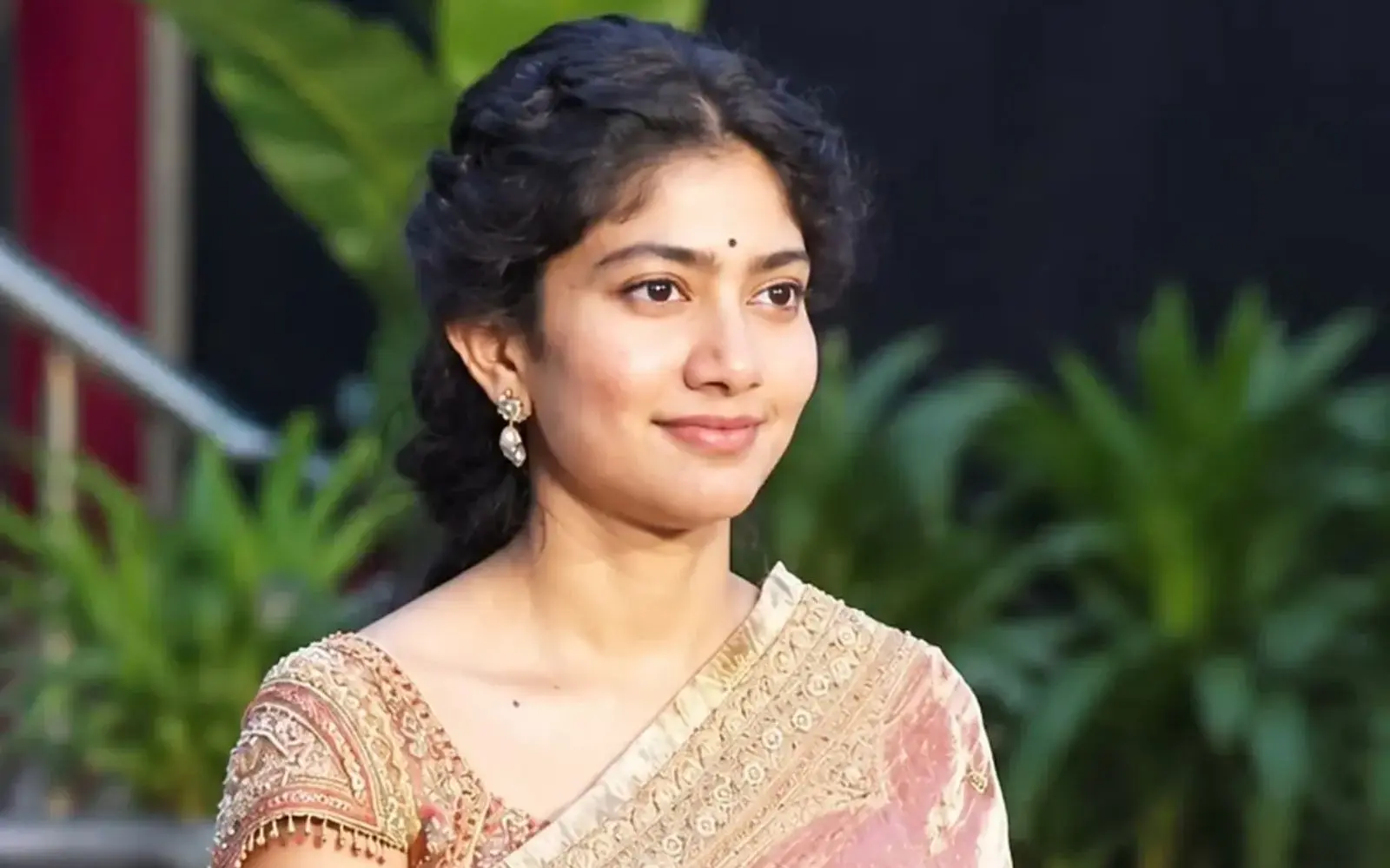 Sai Pallavi Set for Back-to-Back November Blockbusters